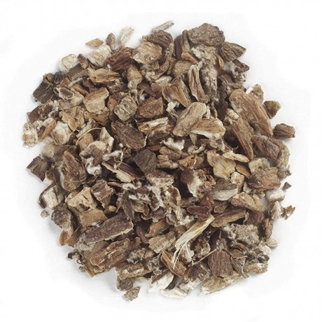 Frontier Herb Burdock Root C/S (1x1lb)