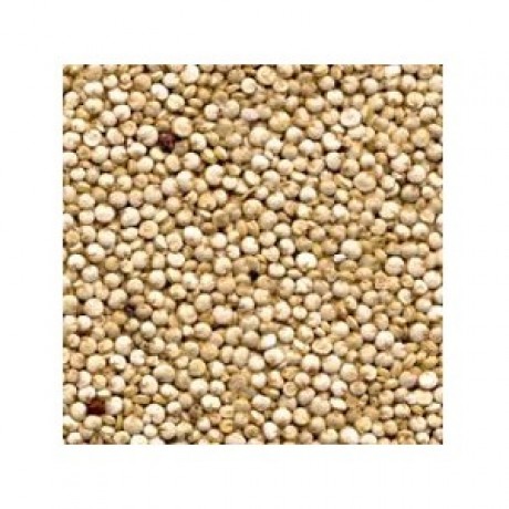 Grains Quinoa Bulk (1x25LB )