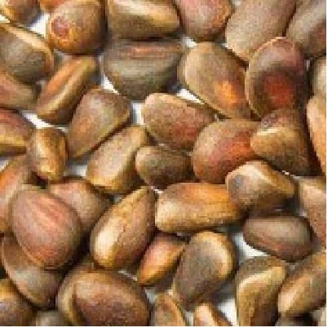 Nuts Pine Nuts (1x5LB )