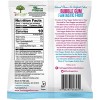 Tree Hugger Fantstc Fruit Bubble egum (12x2OZ )