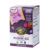 Nature's Path Frosted Wildberry Toaster Pastry (12x11 Oz)