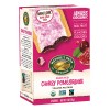 Nature's Path Frosted Strawberry Toaster Pastry (12x11 Oz)